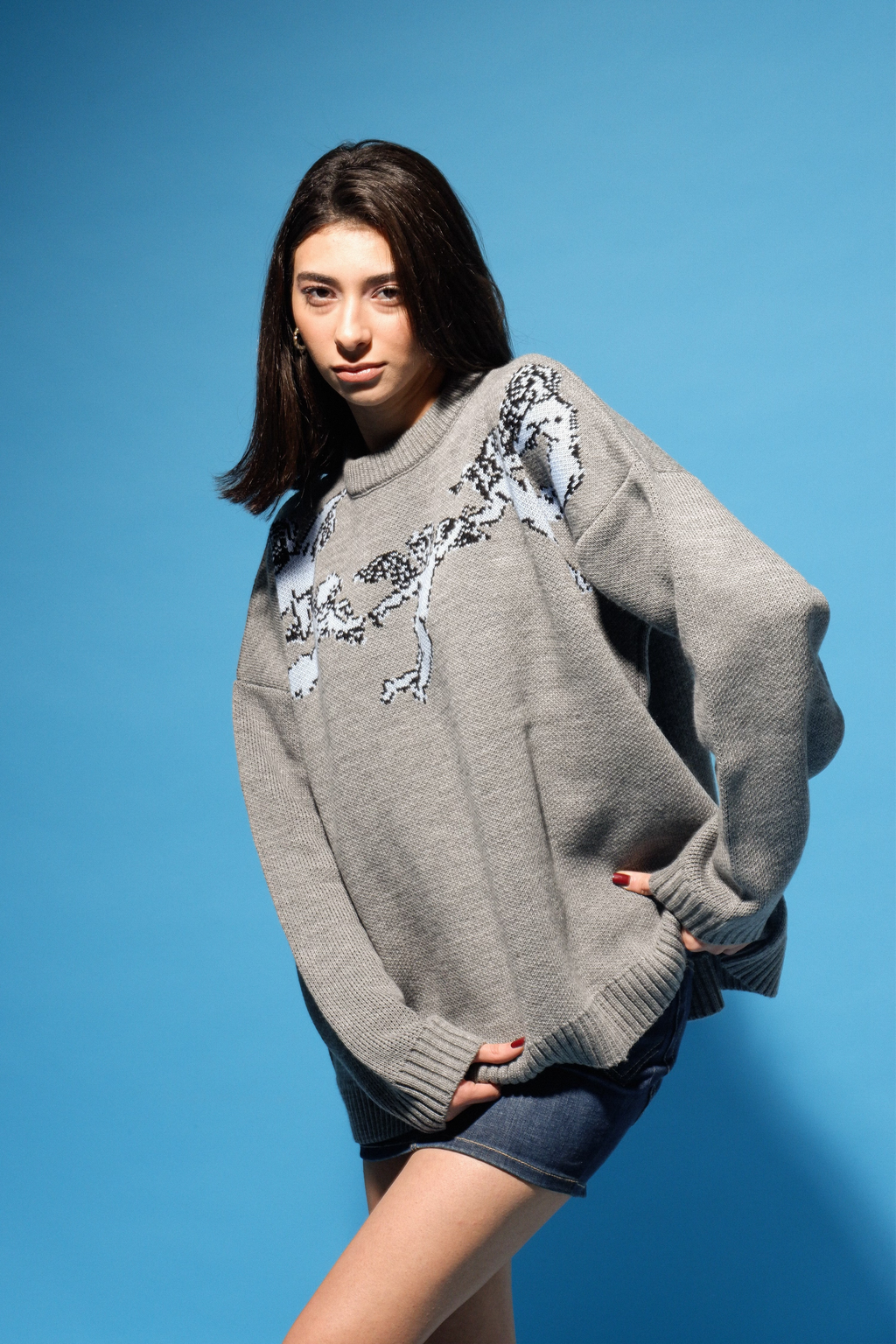 GUARDIANS KNIT CREWNECK